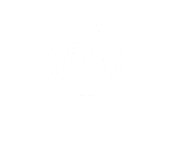 Zoom numérique x8 dans le var